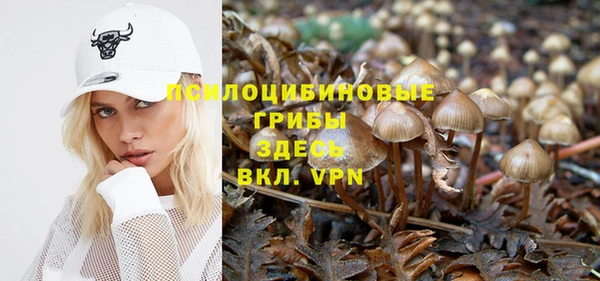 ALPHA PVP Абдулино