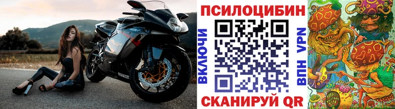 где найти наркотики  Ак-Довурак  Псилоцибиновые грибы MAGIC MUSHROOMS 